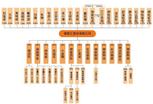 御家汇IPO周三上会 年入11亿背后，面膜业务与软件及辅助设备批发的商业逻辑